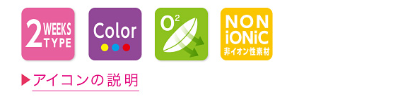 アイコンの説明