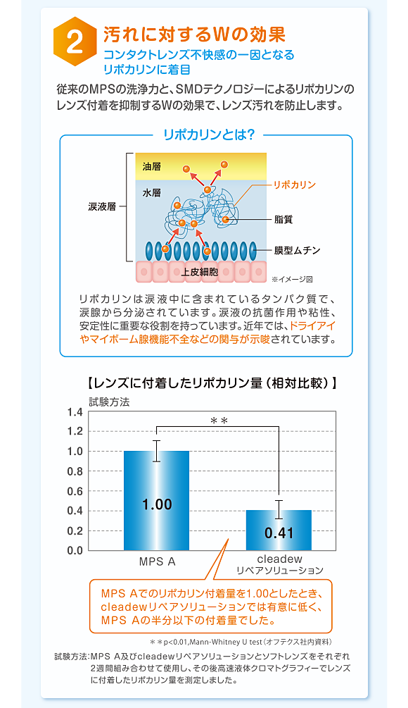 汚れに対するWの効果